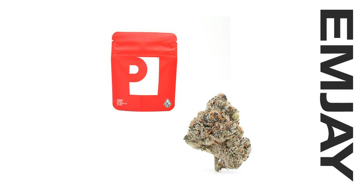 Preferred Gardens Gelato 41 1/8 Emjay